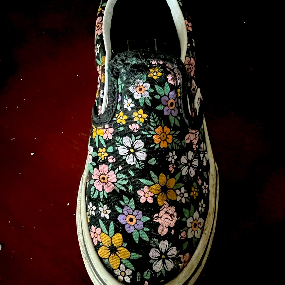 Size 11 little girls slip on vans.